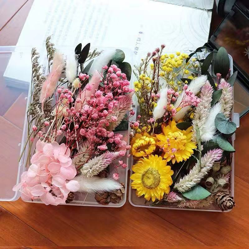 1 Box Getrocknete Blumen Diy Aroma Basteln Trockenblumen Schmuck Epoxidharz Deko